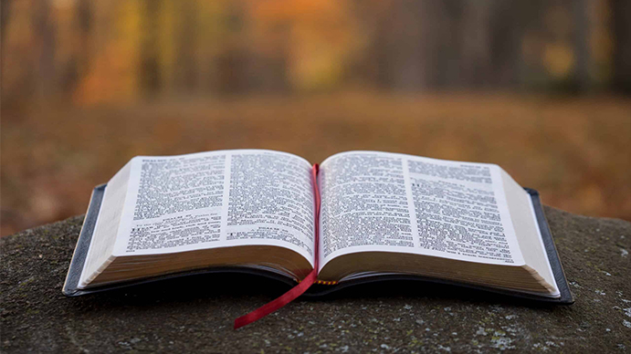 Our Beliefs: The Word